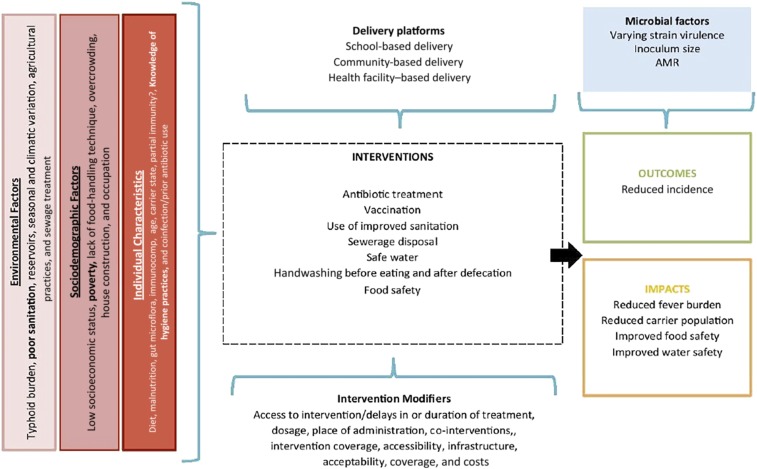 Conceptual framework of typhoid.